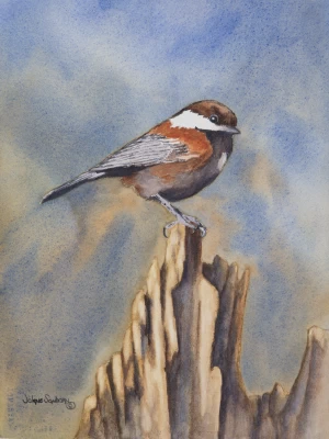 Chickadee