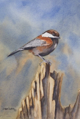 Chickadee