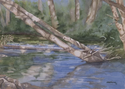 Dungeness River