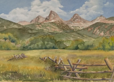 High Country Meadow