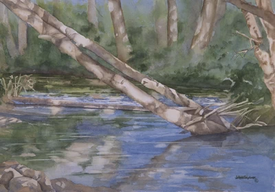Dungeness River