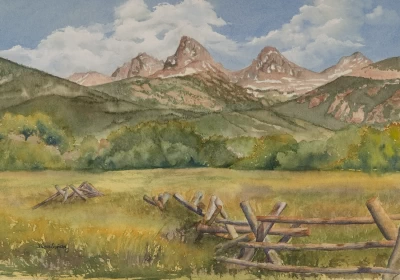 High Country Meadow