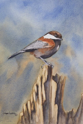 Chickadee