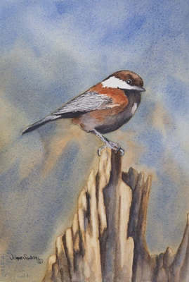 Chickadee