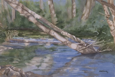 Dungeness River